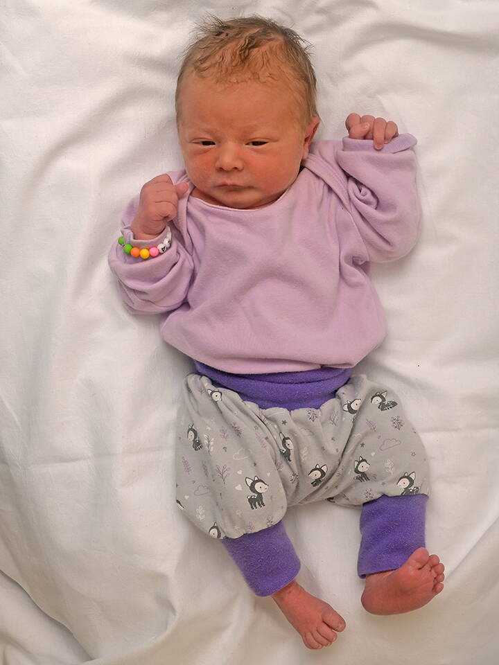 19.2. 2026
Madiswil