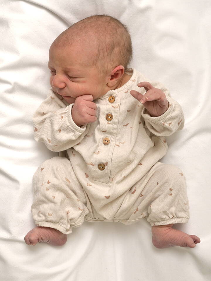 12.1. 2026
Rüegsbach