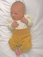 27.12. 2025
Wangen an der Aare