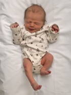 25.1. 2026
Gossliwil