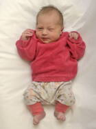 Interne Seite: Dezember 2025