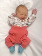 22.11. 2025
Biembach im Emmental