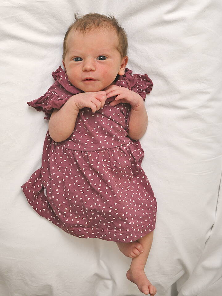 9.8. 2026
Gohl