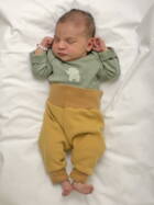 27.11. 2025
Rüegsauschachen