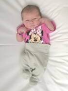 Interne Seite: September 2025