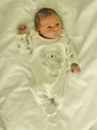 26.11. 2025
Koppigen