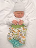 Zoom: 2026-01-08_wolf_leon_m_arni_be.jpg