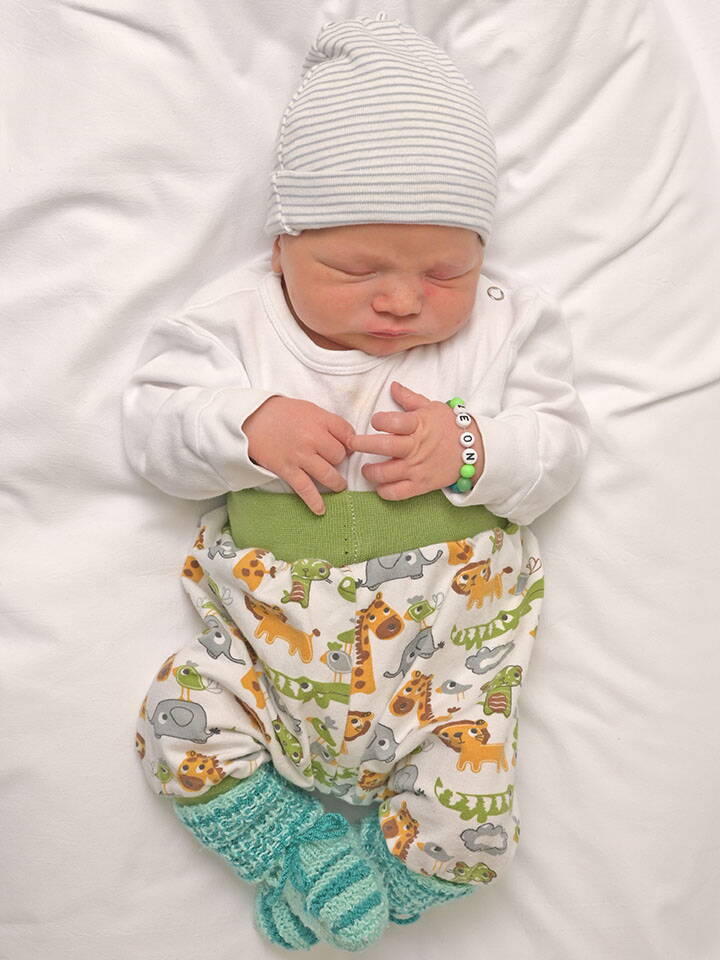 Zoom: 2026-01-08_wolf_leon_m_arni_be.jpg