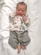 Interne Seite: Februar 2026