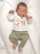 30.1. 2026
Sumiswald