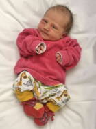 6.12. 2025
Langnau im Emmental