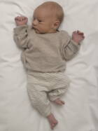 25.8. 2025
Rohrbachgraben