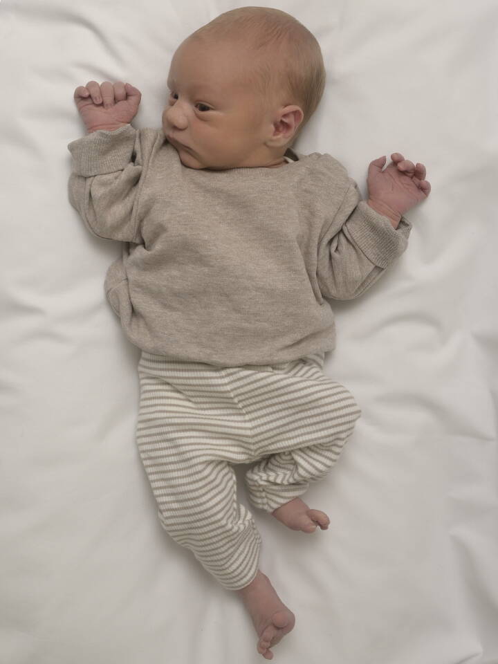 25.8. 2025
Rohrbachgraben