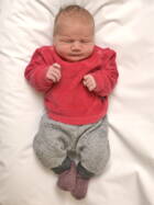 11.1. 2026
Grasswil