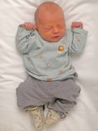 15.2. 2026
Schlosswil