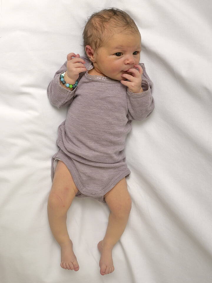 18.9. 2025
Niederwangen