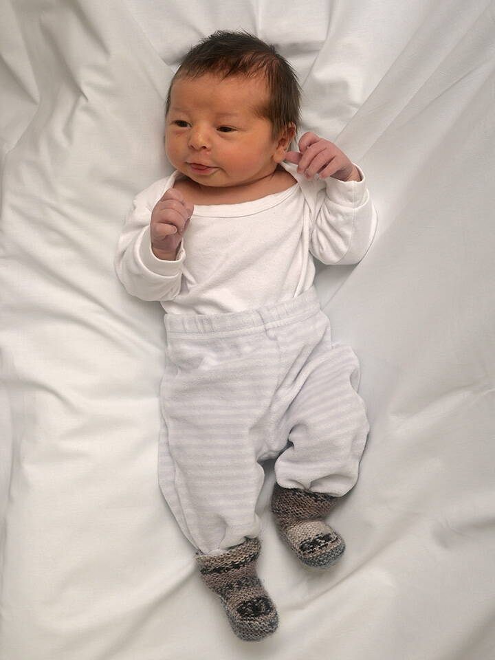 15.1. 2026
Escholzmann