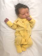 17.2. 2026
Rohrbachgraben