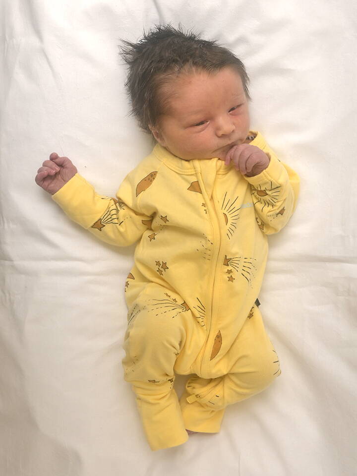 17.2. 2026
Rohrbachgraben