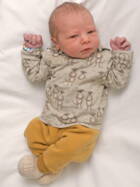 11.10. 2025
Aarwangen