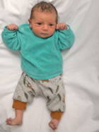 11.10. 2025
Wiedlisbach