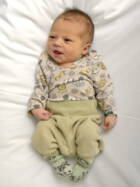 2.9. 2025
Gohl