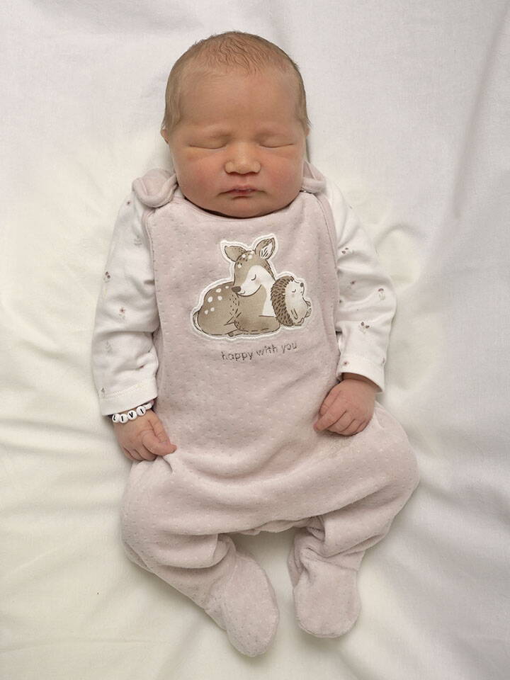 1.12. 2025
Burgdorf