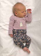 2.2. 2026
Heimisbach