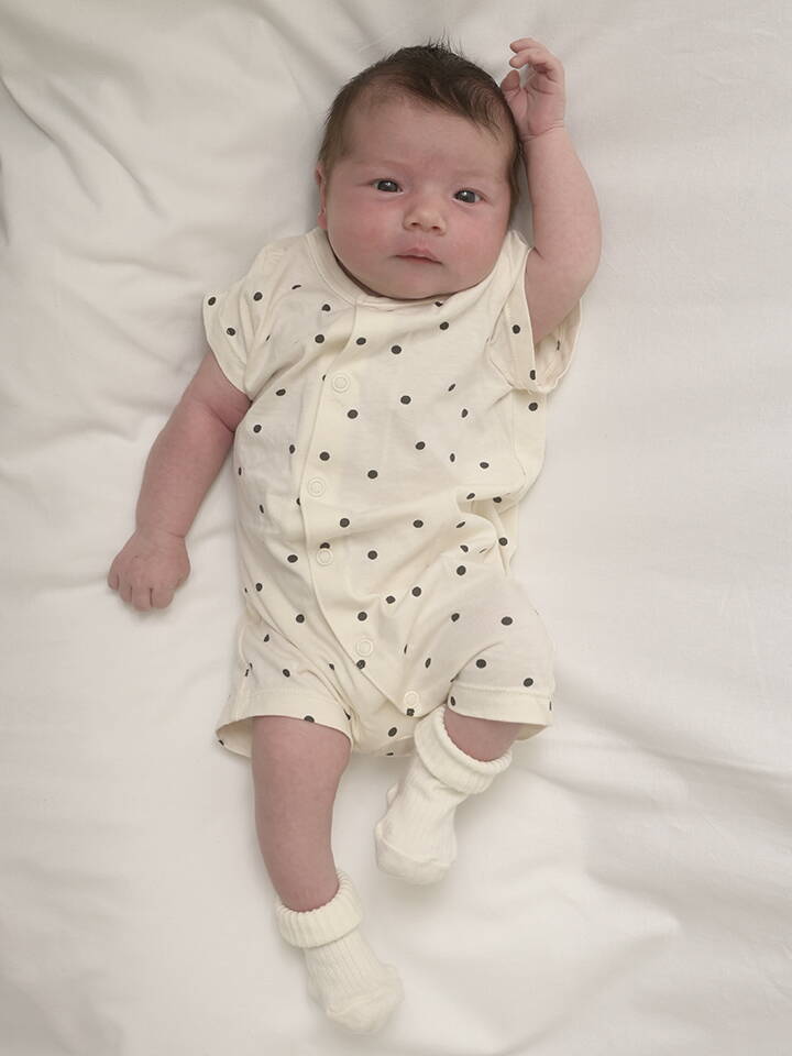 26.6. 2025
Wynigen
