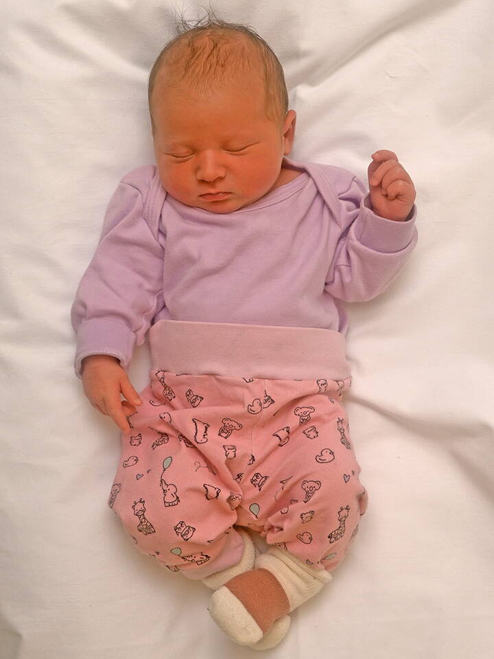 13.2. 2026
Niederwangen bei Bern