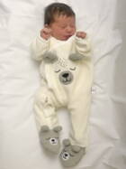 2.11. 2025
Kyburg-Buchegg