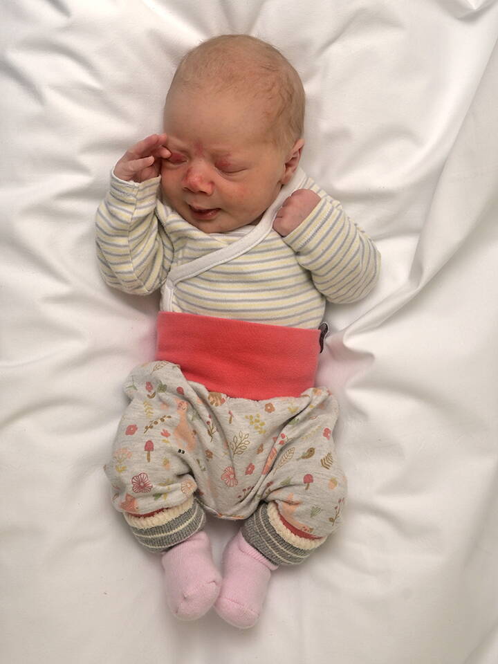 27.2. 2026
Schüpbach