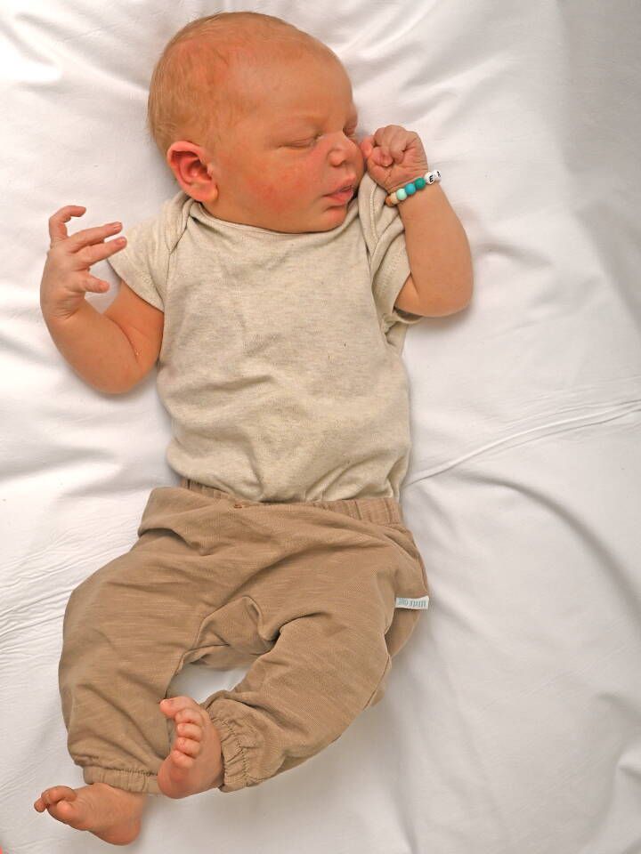 18.8. 2026
Wynigen