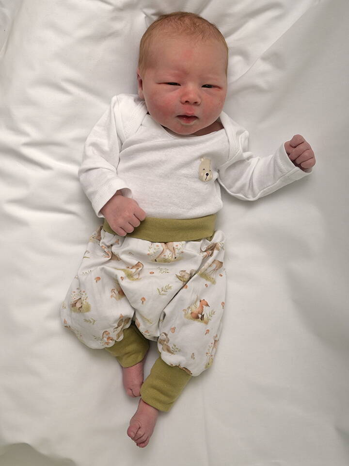 Zoom: 2026-03-31_neuenschwander_elin_w_rothenbach_i.e.jpg