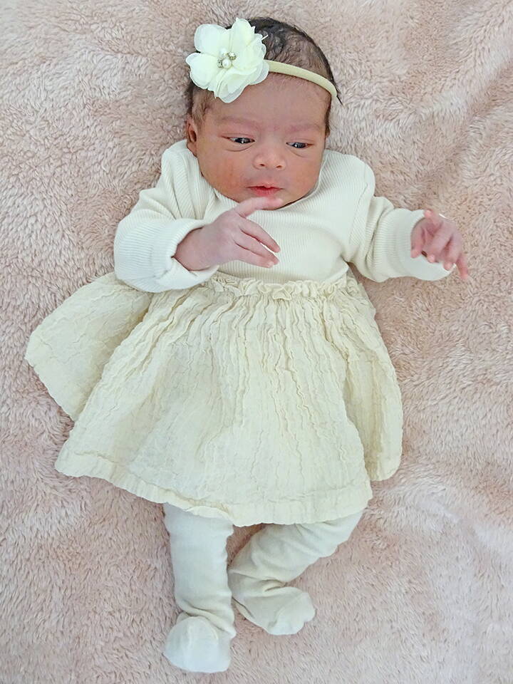 20.2. 2026
Rohrbachgraben