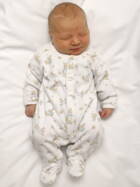 17.10. 2025
Oberdiessbach