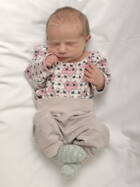 27.10. 2025
Herzogenbuchsee