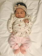 26.11. 2025
Alchenblüh