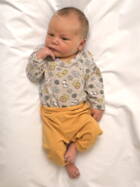 10.1. 2026
Rumendingen