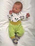 29.3. 2026
Rüegsbach