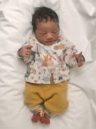 28.2. 2026
Alchenflüh